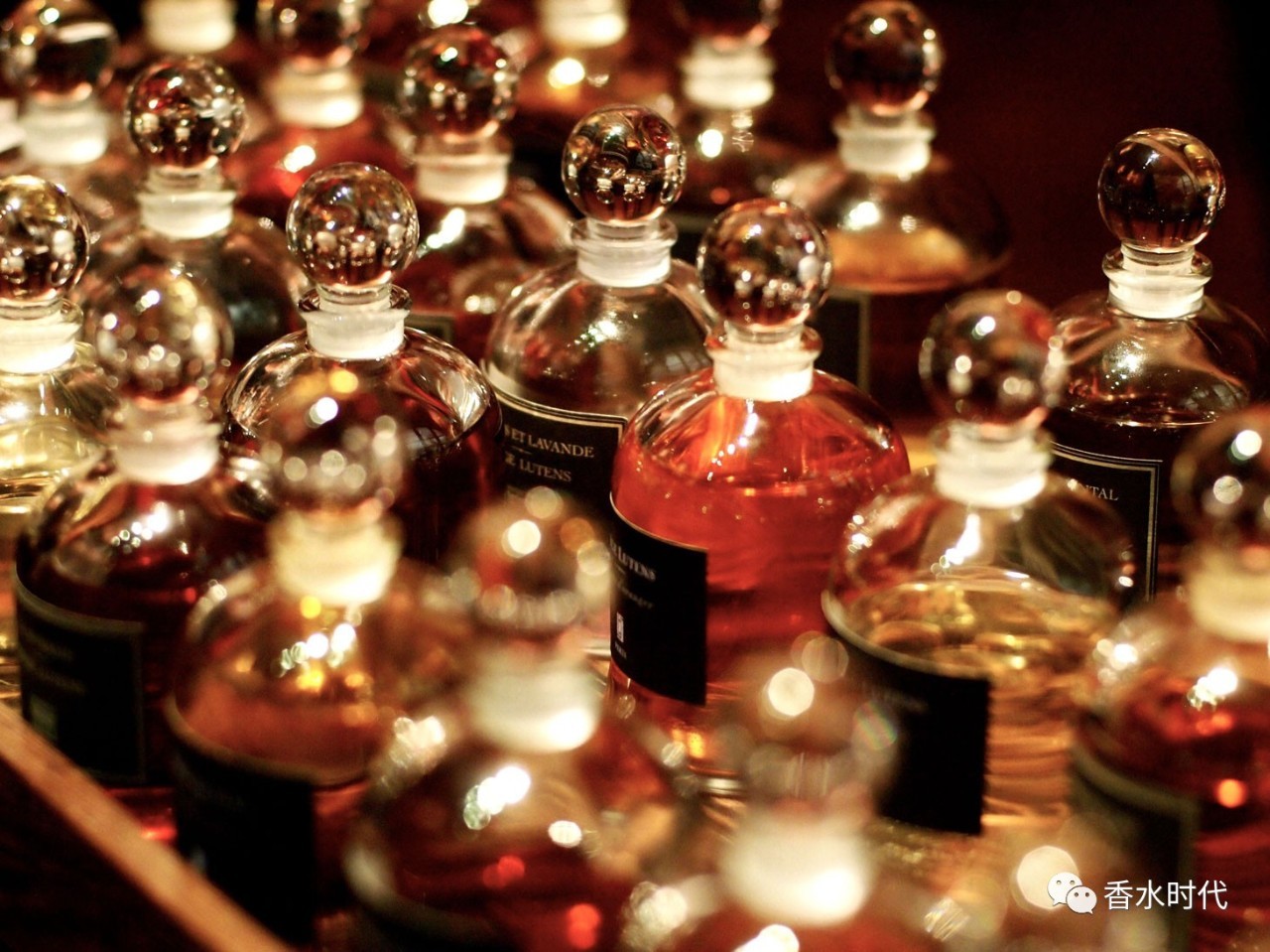 芦丹氏香水全系列测评,芦丹氏香水淡香推荐
