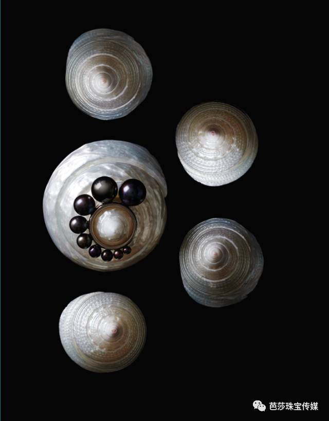 珍珠家族那么大，挑花眼了吗？搞懂四件事，选到最对的！