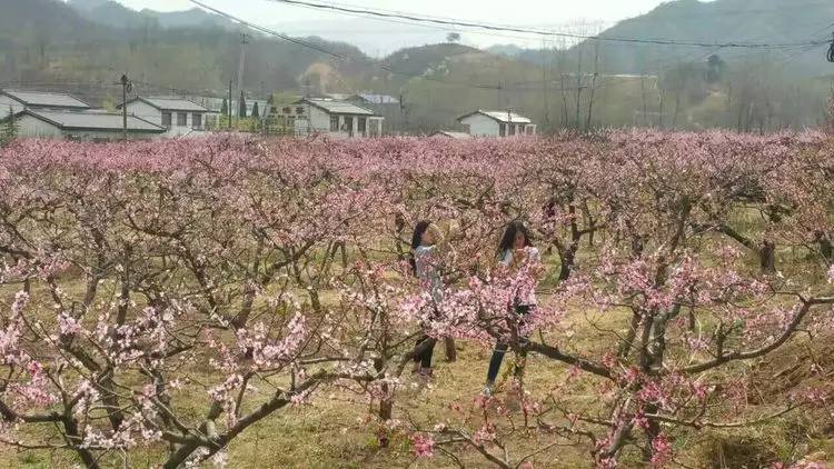 栾川游览图,栾川风景航拍