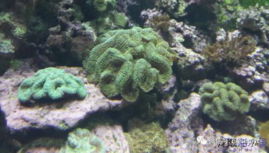 一招搞定水质问题,推荐一款好水