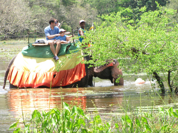 斯里兰卡个人旅游攻略,斯里兰卡华人旅游攻略视频