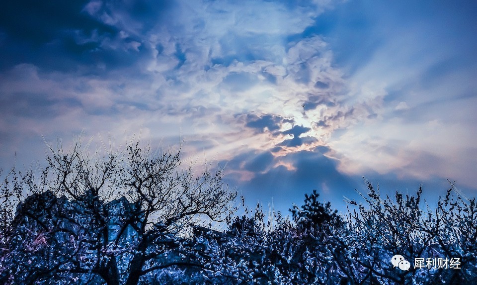 从洋务运动到辛亥革命的金句,从洋务运动到新文化运动论文
