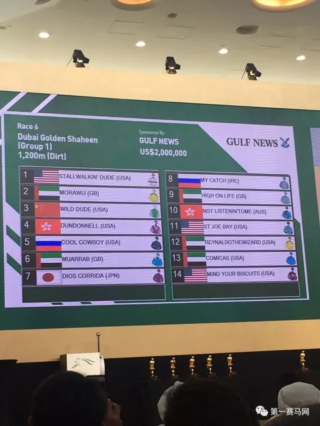 2024迪拜赛马世界杯新纪录,迪拜赛马世界杯黑马