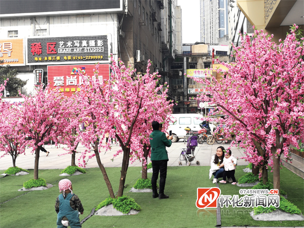 春暖花开等你来下一句,春暖花开等你来的句子