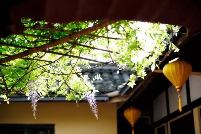 青海一年四季的变化,青海的冬天是什么样的