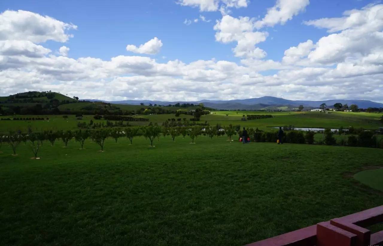 图说:在澳洲的日常(2)|陈秋平