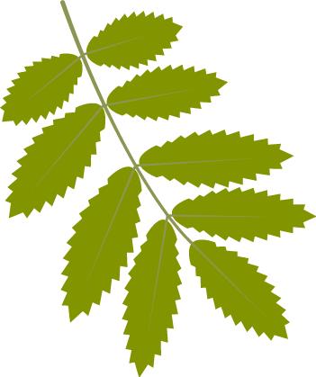 内蒙古改造计划,内蒙古今明两年大动作