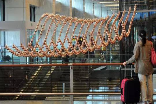 全球最值得去的机场,全球最值得打卡的机场