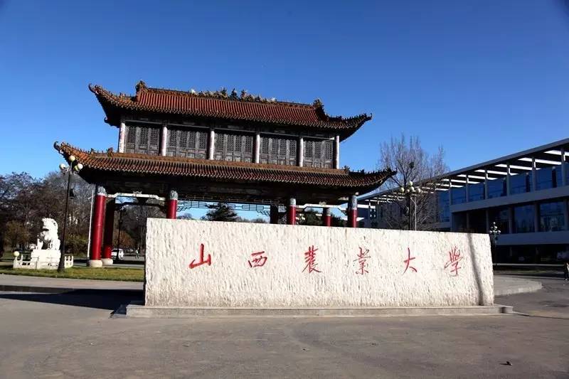 三个月后，这个故事将迎来大结局