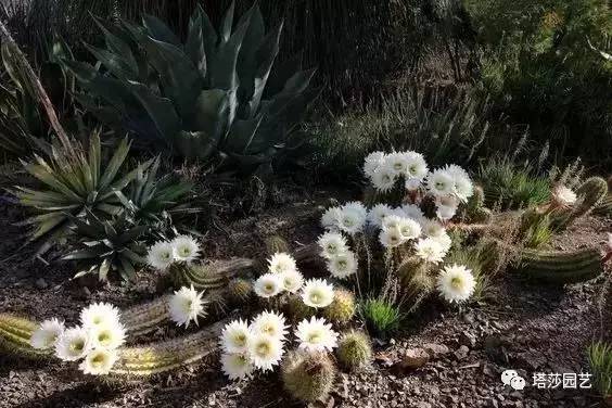 美国109岁老奶奶,109岁奶奶美国