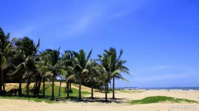 广东茂名阳光沙滩,茂名碧海金沙海滩
