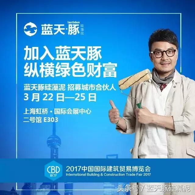 蓝天豚硅藻泥背景墙,蓝天豚硅藻泥跟多乐士比哪个更好