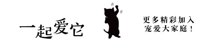 养宠经验分享狗狗伤口化脓怎么办,狗狗中毒急救