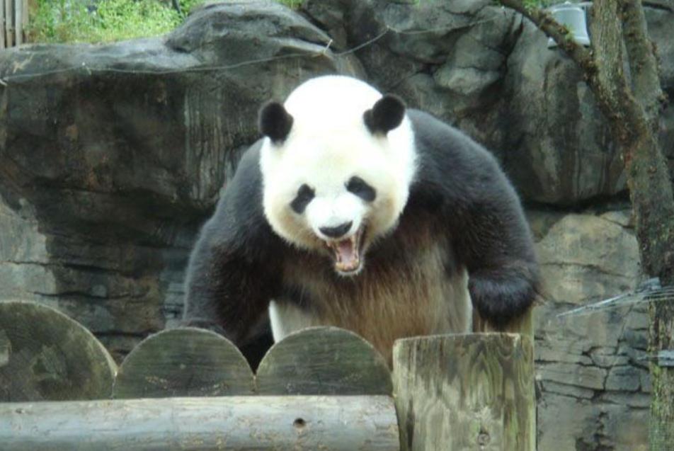 长沙是中国体育的福地,国足福地长沙