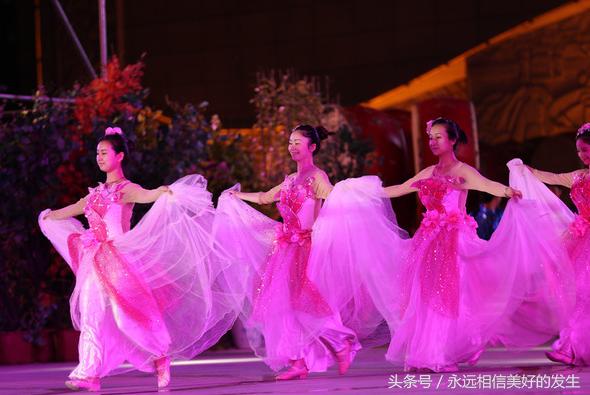 发现秦岭之美,发现陕西之美作文