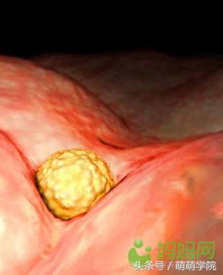 胎儿发育40周全过程b超影像,胎儿1-40周发育过程图高清