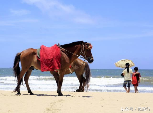 广东茂名阳光沙滩,茂名碧海金沙海滩