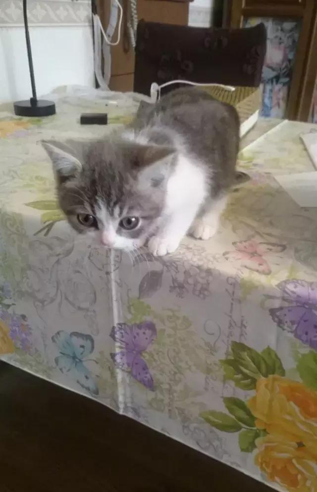 古天乐签名有灵感吗 (古天乐的签名才是经典)