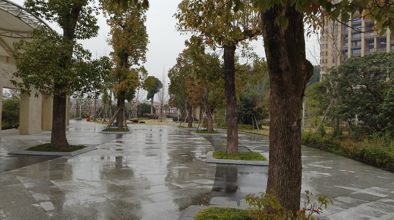 小米手机5c深度测评,澎湃芯片的小米5c好用吗