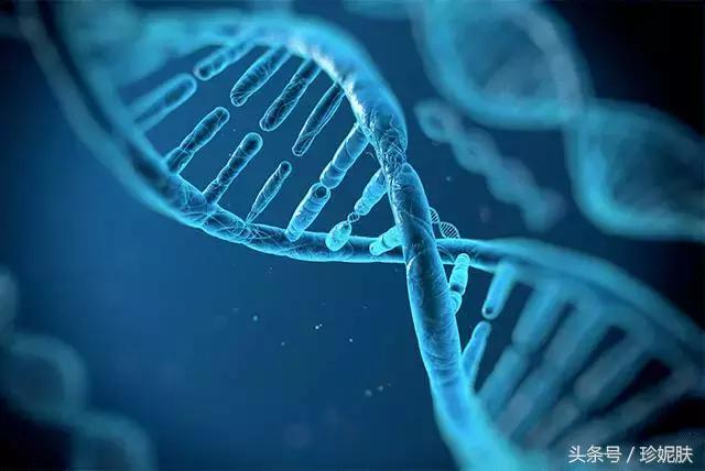 珍妮肤是国货吗,珍妮肤多重活颜原液怎么使用