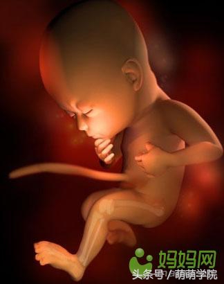 胎儿发育40周全过程b超影像,胎儿1-40周发育过程图高清