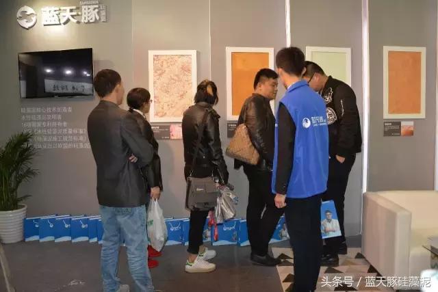 蓝天豚硅藻泥背景墙,蓝天豚硅藻泥跟多乐士比哪个更好