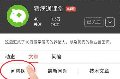 仔猪在保育期需要注意什么,保育仔猪如何管理