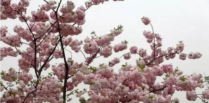 吃鲟鱼、泡温泉、赏美景、玩陶艺···完美周末就这么简单！