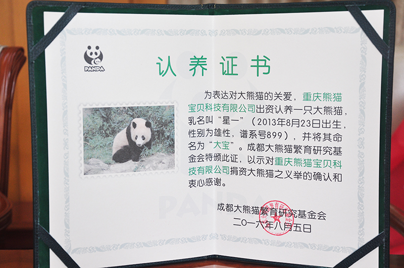 国足大宝实力怎么样,2017年长沙国足于大宝进球