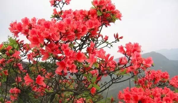 天津出发8小时能去哪旅游,天津出发卧铺一宿能到达的城市