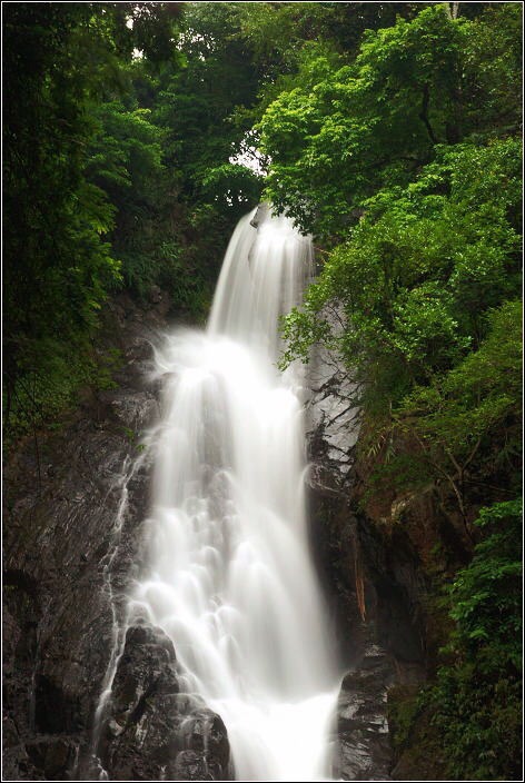 清明深圳周边一日游好去处,深圳仙湖植物园清明踏青赏花