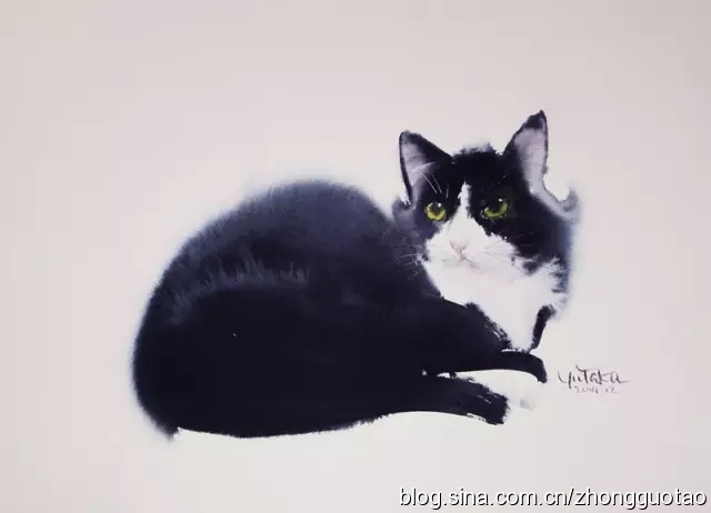 日本水墨画猫,国画猫水墨画