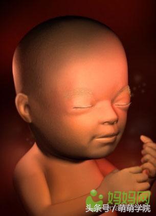 胎儿发育40周全过程b超影像,胎儿1-40周发育过程图高清