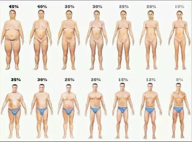 怎样可以知道自己的体脂率是多少,怎么能知道自己的体脂率是多少