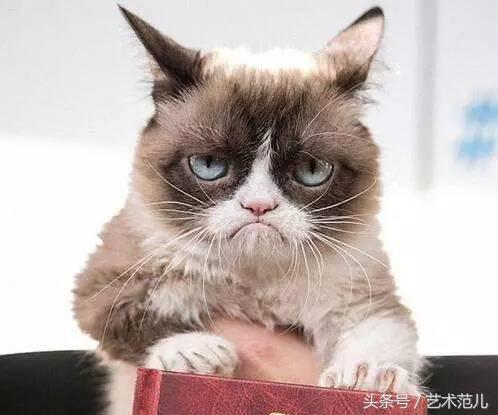 国足赢了教练反应,国足赢了教练的反应