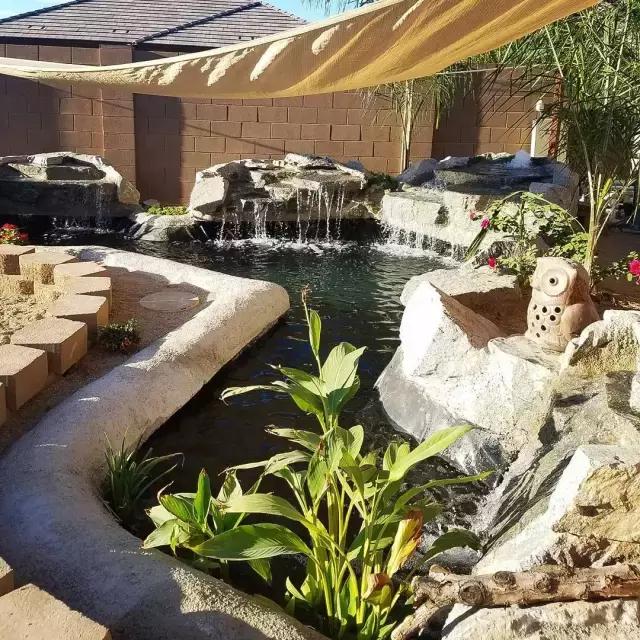 锦鲤水景三月天，赏心悦事别家院