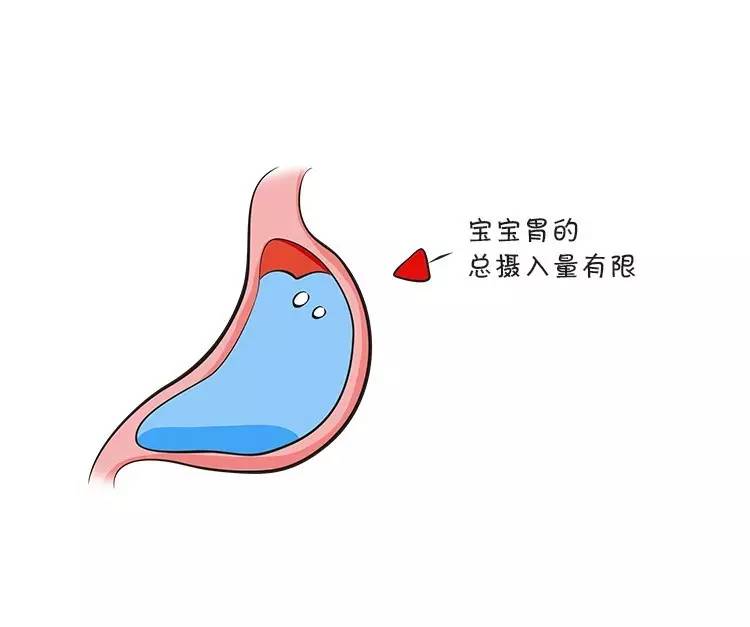 宝宝6个月内绝对不能喝水,为什么六个月以内的宝宝不让喝水