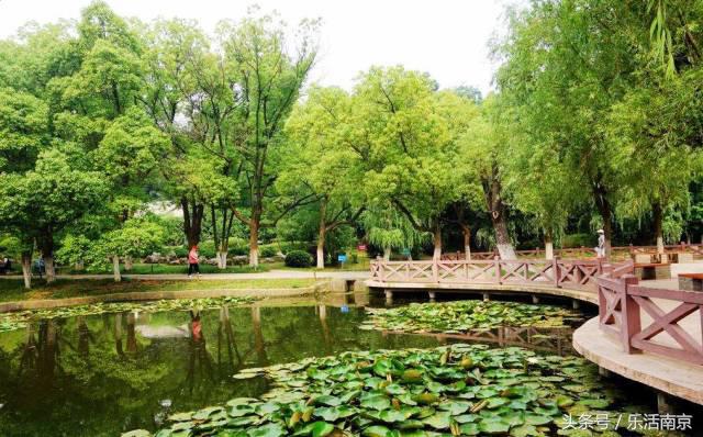 免费公园南京,南京十大公园排行榜