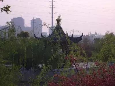 致镇江第一中学：我凭什么忘不了你