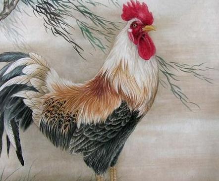 鸿运不可挡这三大生肖运势极佳,福运绵绵这3大生肖越老越富贵