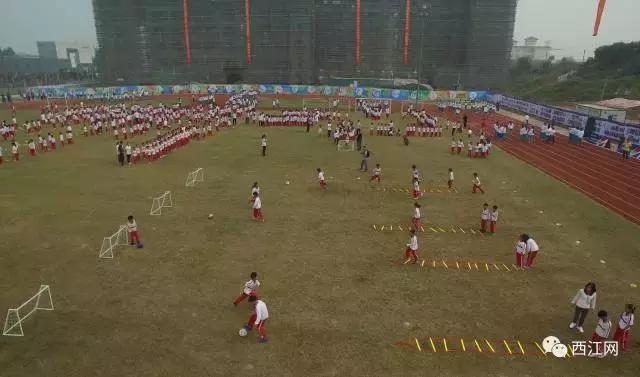 肇庆市全国特色学校,肇庆市足球特色学校