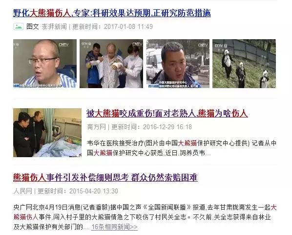 熊猫的萌态有多可爱,熊猫是软萌无害的吗