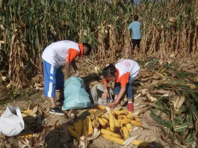 我与花火有个约定，小作家成长体验夏令营！