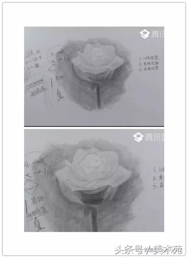 素描怎么画玫瑰花最好看,玫瑰素描画教程