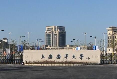 上海南汇新城,上海五大新城南汇新城