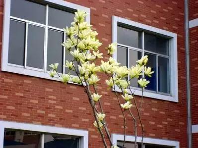 致镇江第一中学：我凭什么忘不了你