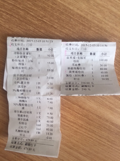 猫舍买的猫各种问题怎么办,猫舍里买的2个月幼猫靠谱吗