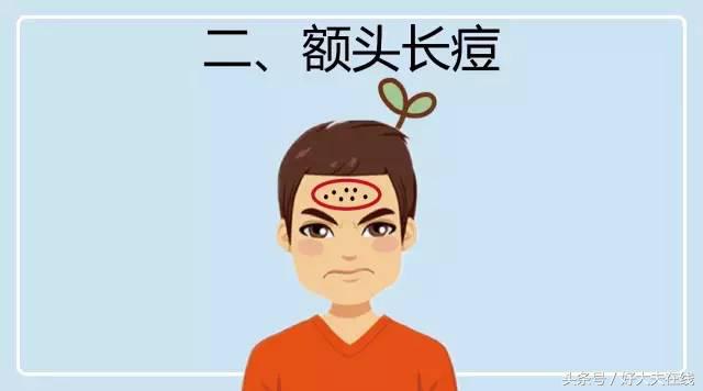 鼻梁旁边有痘是哪个内脏反应区,背部和下巴长痘是不是内脏有问题