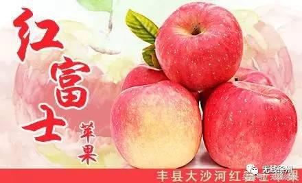 徐州桃花美景,徐州春天又见美好游玩