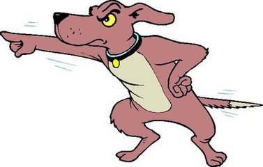 十二生肖五行相生相合,十二生肖五行哪些和哪些相生